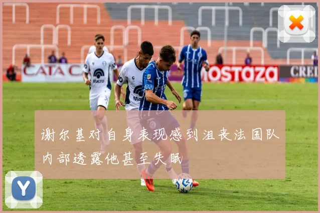 谢尔基对自身表现感到沮丧法国队内部透露他甚至失眠