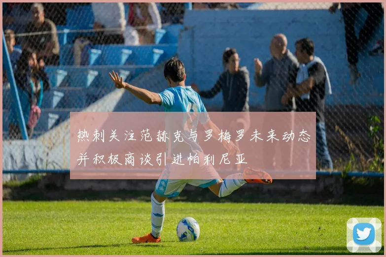 热刺关注范赫克与罗梅罗未来动态并积极商谈引进帕利尼亚