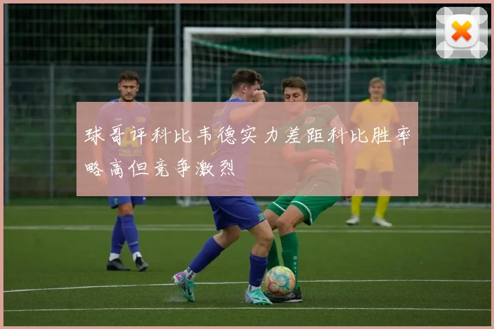 球哥评科比韦德实力差距科比胜率略高但竞争激烈
