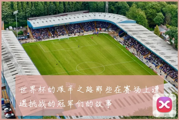 世界杯的艰辛之路那些在赛场上遭遇挑战的冠军们的故事