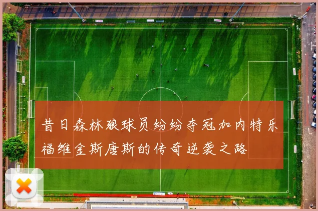 昔日森林狼球员纷纷夺冠加内特乐福维金斯唐斯的传奇逆袭之路